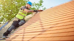Best Roof Ventilation Installation  in Buckhall, VA