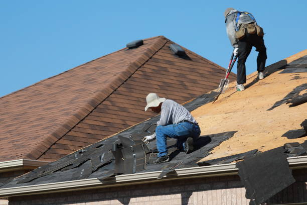 Best Roof Insulation Installation  in Buckhall, VA