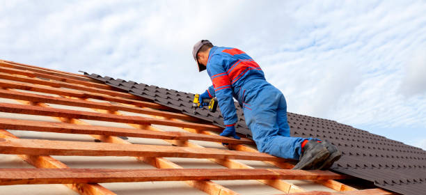 Best Sheet Metal Roofing  in Buckhall, VA