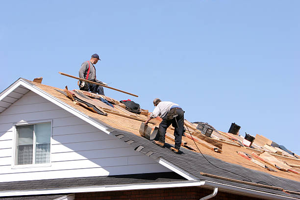 Best Hot Roofs  in Buckhall, VA