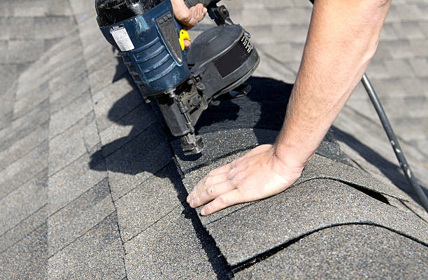 Best Sheet Metal Roofing  in Buckhall, VA