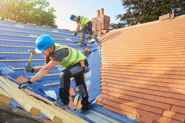 Best Cold Roofs  in Buckhall, VA